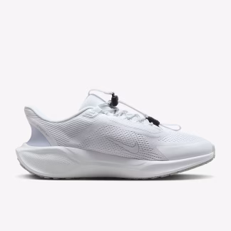 Mens Nike Pegasus Easy On White